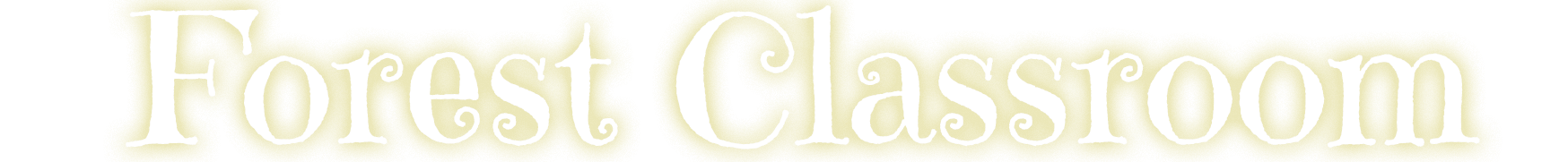 The Forest Classroom - School Readiness Lessons for Prep & Kinder